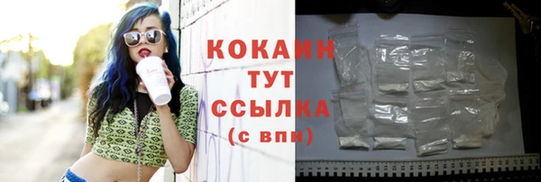 молекула духа Гусев