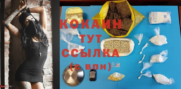 гидра Дмитров