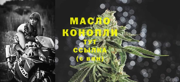 гидра Дмитров